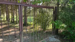 837263 - zdjęcie nr 0