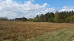 837723 - zdjęcie nr 2