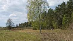 837723 - zdjęcie nr 3