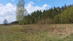 837723 - zdjęcie nr 4