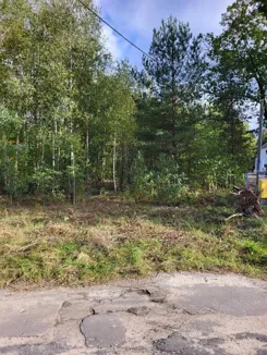 834990 - zdjęcie nr 1
