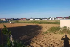 835662 - zdjęcie nr 3
