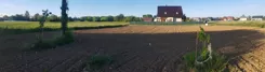 836669 - zdjęcie nr 4
