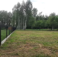 837483 - zdjęcie nr 1