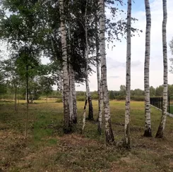 837483 - zdjęcie nr 2