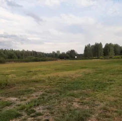 837483 - zdjęcie nr 3