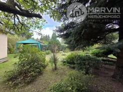 836451 - zdjęcie nr 3