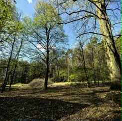 836286 - zdjęcie nr 3