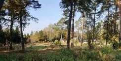 836703 - zdjęcie nr 1