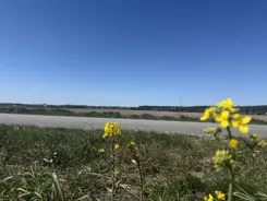 836501 - zdjęcie nr 2