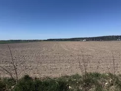 836501 - zdjęcie nr 4