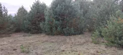 836873 - zdjęcie nr 2