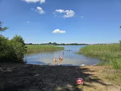 836790 - zdjęcie nr 3