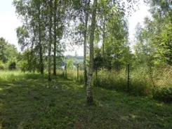 826331 - zdjęcie nr 2