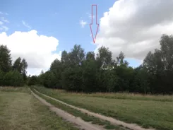 826333 - zdjęcie nr 3