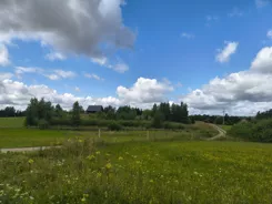 837265 - zdjęcie nr 3