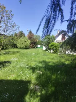 836559 - zdjęcie nr 3