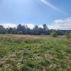 837589 - zdjęcie nr 4