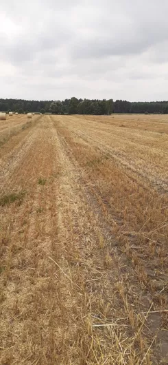 837014 - zdjęcie nr 1