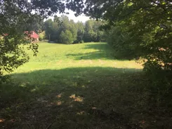 836491 - zdjęcie nr 0