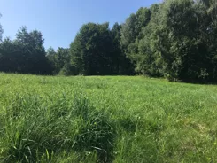 836491 - zdjęcie nr 4