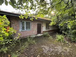 837714 - zdjęcie nr 2
