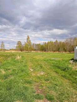 836611 - zdjęcie nr 2