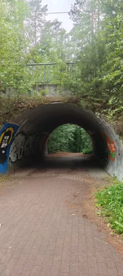 836936 - zdjęcie nr 1