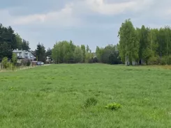 834204 - zdjęcie nr 2