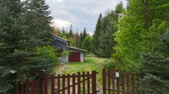 836256 - zdjęcie nr 0