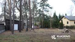 835684 - zdjęcie nr 1