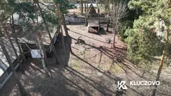 835684 - zdjęcie nr 4