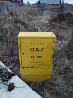 825515 - zdjęcie nr 1