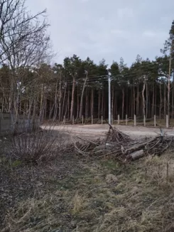 825515 - zdjęcie nr 2