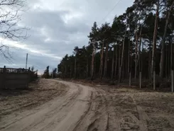 825515 - zdjęcie nr 3