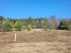 836690 - zdjęcie nr 2