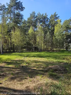 836066 - zdjęcie nr 3