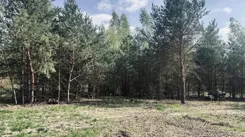 836639 - zdjęcie nr 2