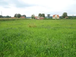 826332 - zdjęcie nr 3
