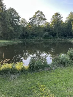 837252 - zdjęcie nr 4
