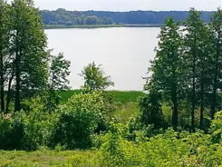 835697 - zdjęcie nr 0