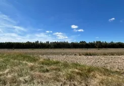 836413 - zdjęcie nr 1
