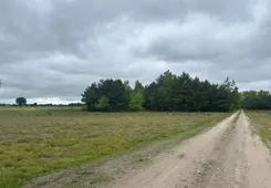 836413 - zdjęcie nr 4