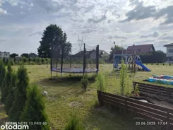 837874 - zdjęcie nr 3
