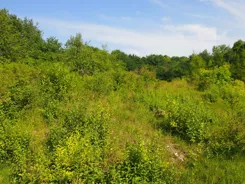 835363 - zdjęcie nr 3