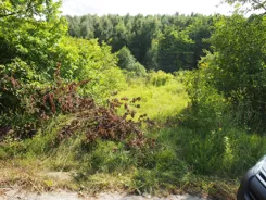 835363 - zdjęcie nr 4