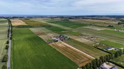 837299 - zdjęcie nr 4