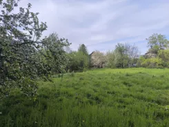 837243 - zdjęcie nr 0