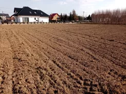 836177 - zdjęcie nr 3