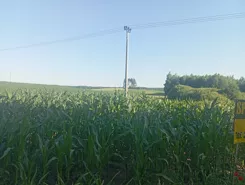 837010 - zdjęcie nr 0